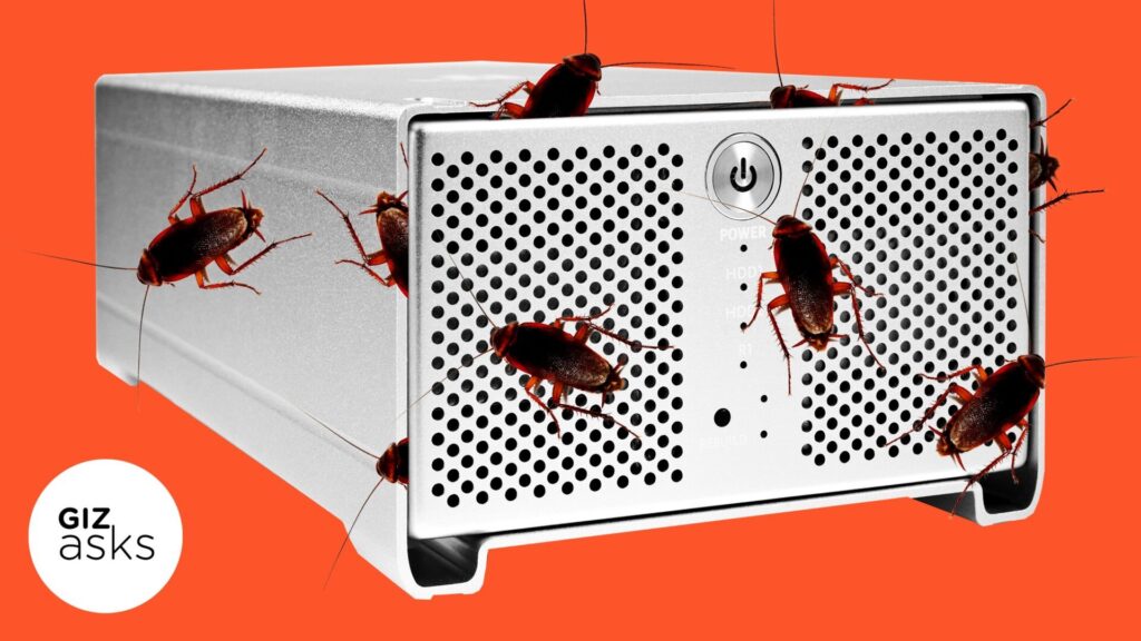 What’s Attracting Cockroaches to Your Computer?