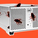 What’s Attracting Cockroaches to Your Computer?