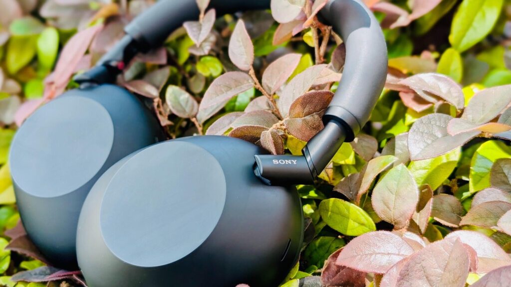 Evolving from Bose to Sony headphones