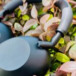 Evolving from Bose to Sony headphones